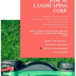 ALL TREE SERVICE