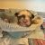 01212_ec8kNAJFXjH_0t20CI_1200x900