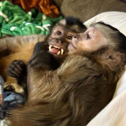 instagram_1742695606634