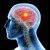 Active Brain Active Brain