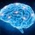 Brain-300x225 Brain-300x225