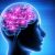 Consciousness-Brain-Activity Consciousness-Brain-Activity
