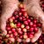 RedFruitHands-16x9 RedFruitHands-16x9