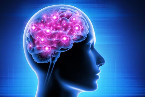 Consciousness-Brain-Activity Consciousness-Brain-Activity