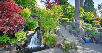 How to Create A Backyard Oasis