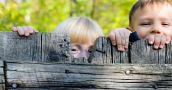Boost Your Privacy with Fast-Growing Trees