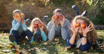 Fun Fall Activities to do This Weekend