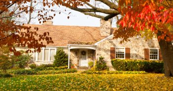 Easy Steps to Improve Your Lawn This Fall