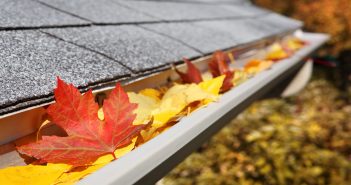 Roof Maintenance Tips for Fall