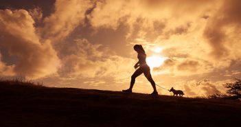 Safety Tips for Walking Your Dog at Night