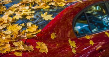 How to Protect Your Car from Fall Leaf Damage