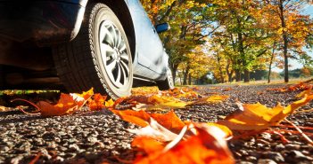 Fall Driving Safety Tips