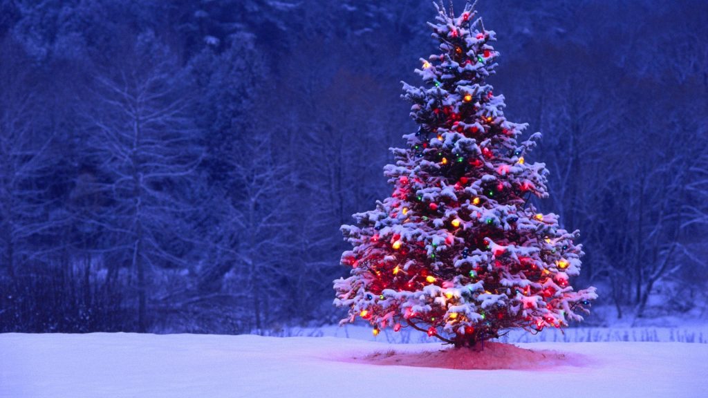 Massapequa Christmas Tree and Menorah Lighting