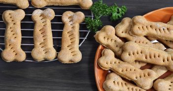 DIY Thanksgiving Dog Treats