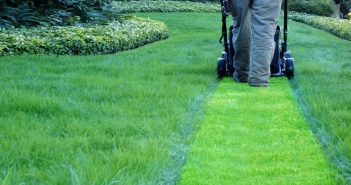 Spring Lawn Care Tips