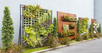 How to Grow a Vertical Garden