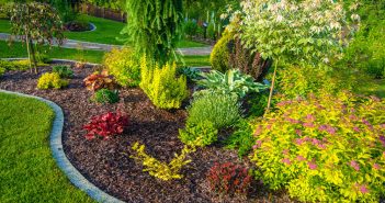 Summer Tips for Watering the Garden