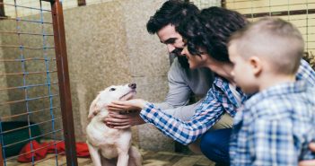 Benefits of Adopting a Mutt