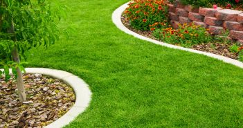 Landscaping Your Lawn on a Budget