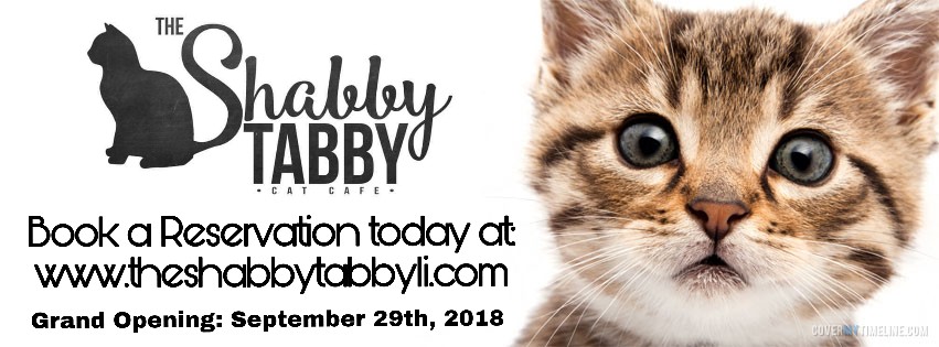  Shabby  Tabby  Grand Opening Day Pennysaver Coupons 