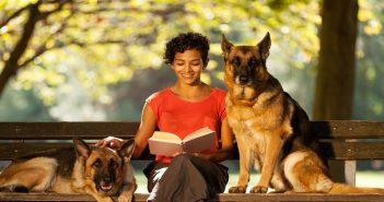 5 Reasons to Hire a Pet Sitter for the Holidays