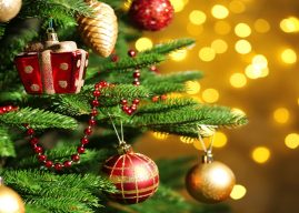 Fresh Christmas Tree Care Tips