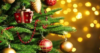 Fresh Christmas Tree Care Tips