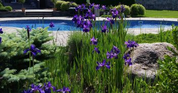 Gorgeous Ways to Landscape Around Your Pool