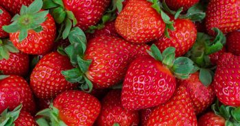 Sensational Strawberry Recipes