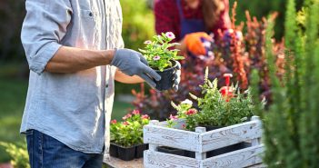 Ways to Upcycle Household Items into Planters