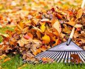 Fall Yard Cleanup Checklist