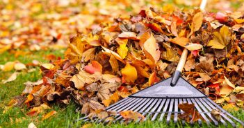 Fall Yard Cleanup Checklist