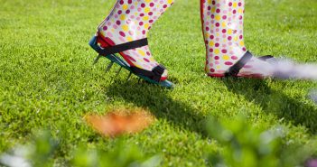 Aerate Your Lawn: When and How?