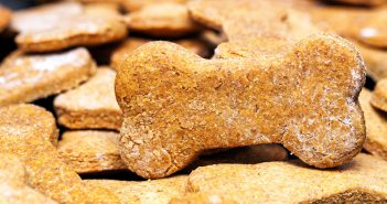 Homemade Thanksgiving Dog Treats